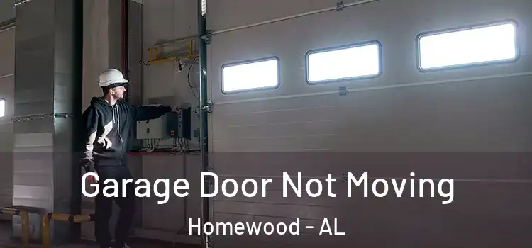  Garage Door Not Moving Homewood - AL