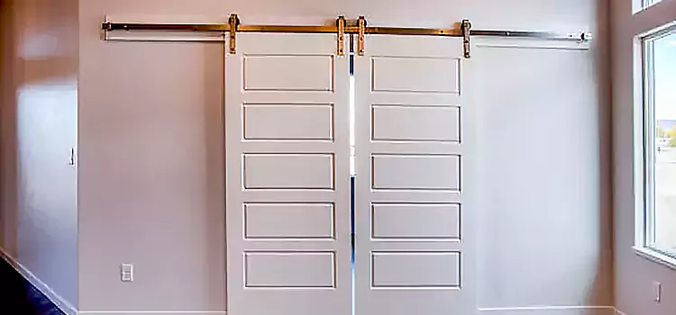 Glass Barn Door with Installation Hardware Kit Homewood