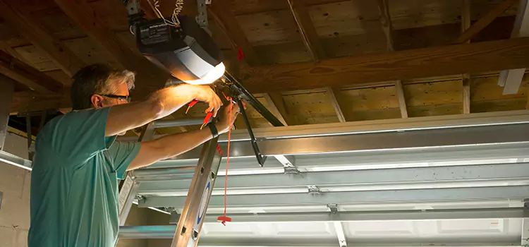 Garage Door Opener Sales and Installation Homewood