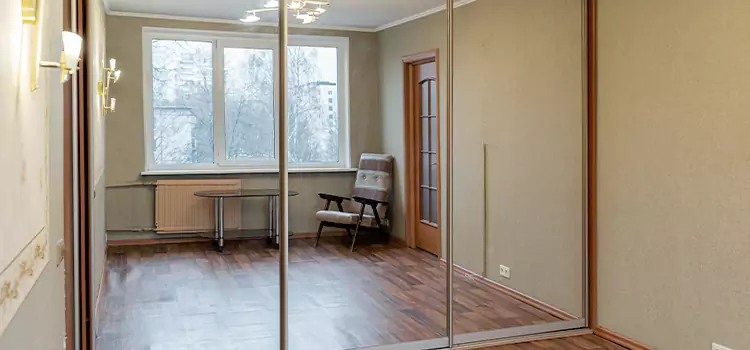 Mirror Closet Door Roller Replacement Homewood